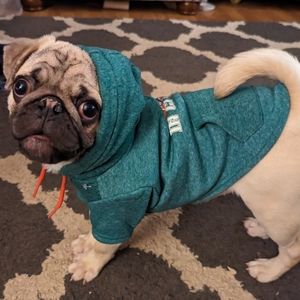 XS Green Hoodie "Best in class"